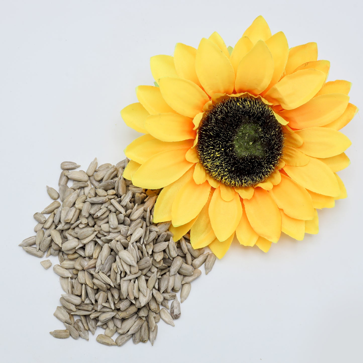 Pine Sunflower Seeds (Deshelled) سورج مُکھی بیج| For Wellness