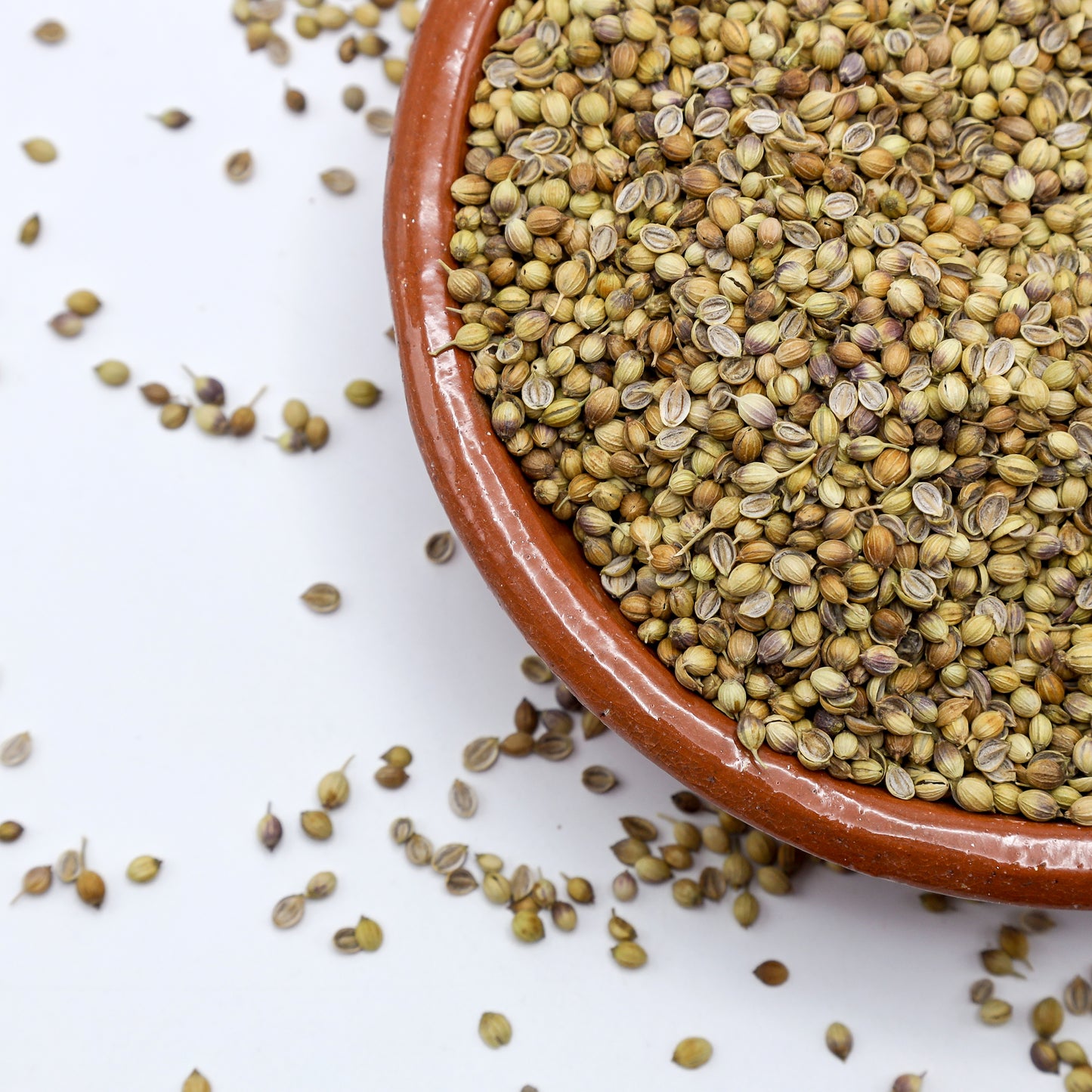 Pine Coriander Seeds (Dhaniya| دھنیا)Bold Flavor&Fresh Aroma