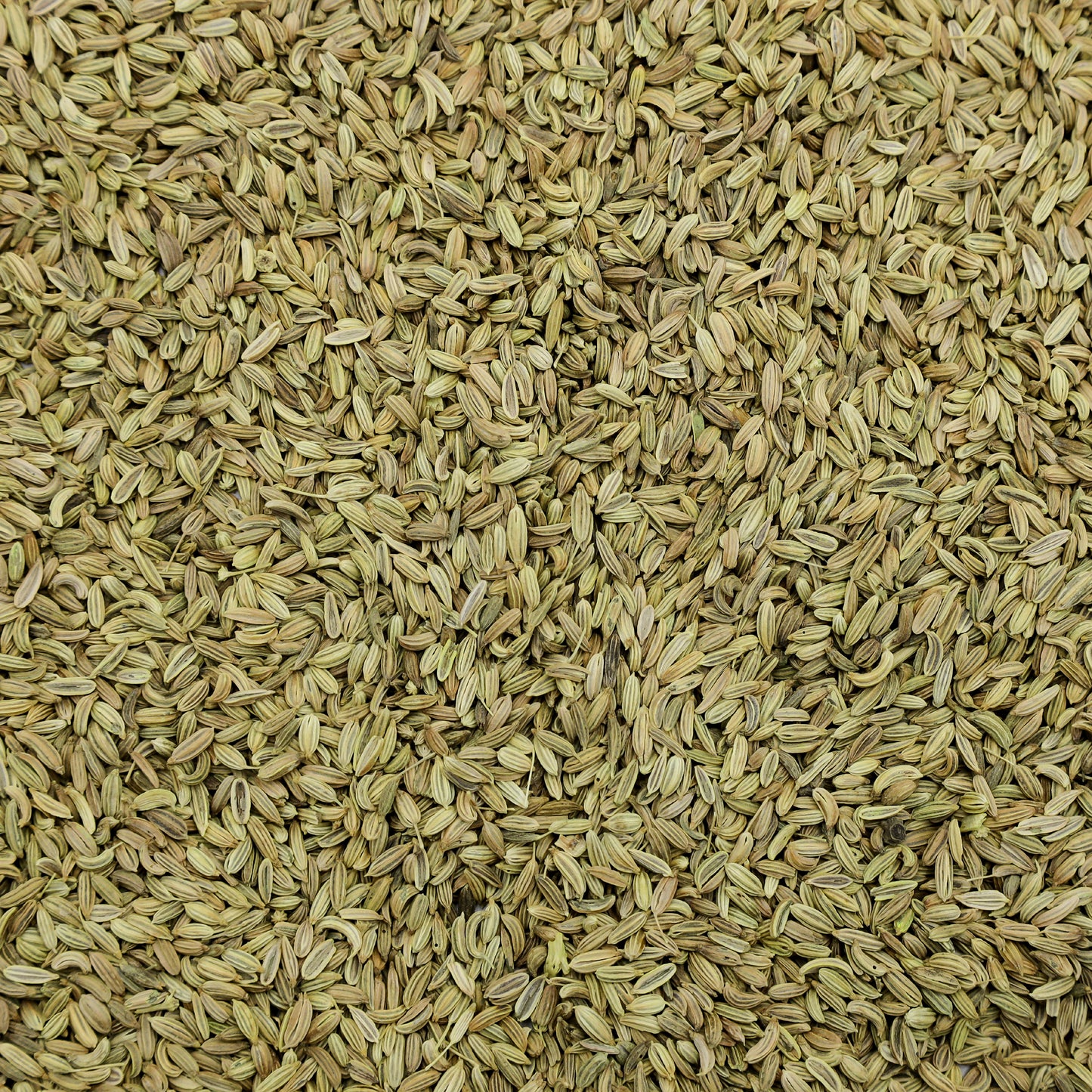 Pine Fennel Seeds (Saunf|سونف) Sweet Aroma & Pure Taste