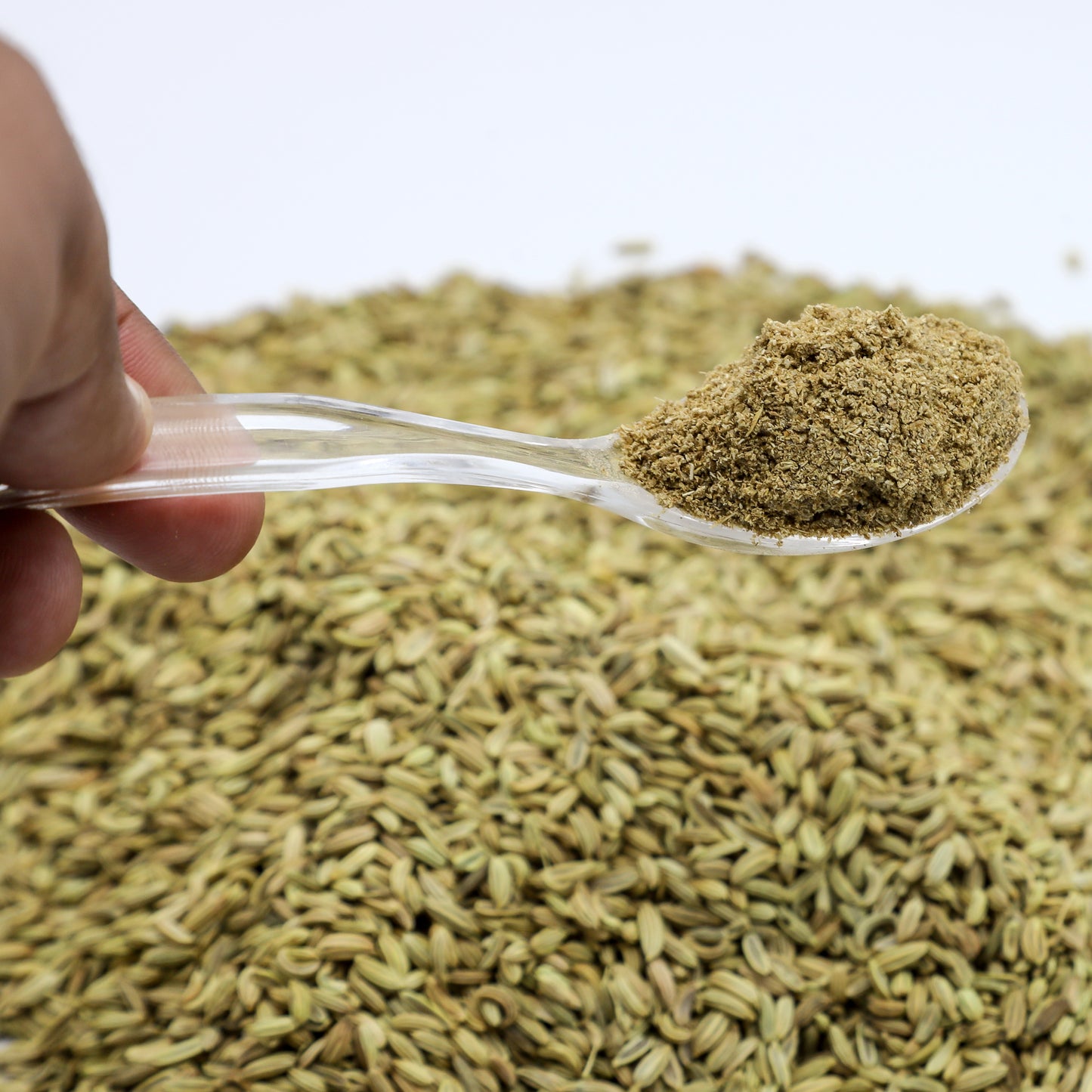 Pine Fennel Seeds (Saunf|سونف) Sweet Aroma & Pure Taste