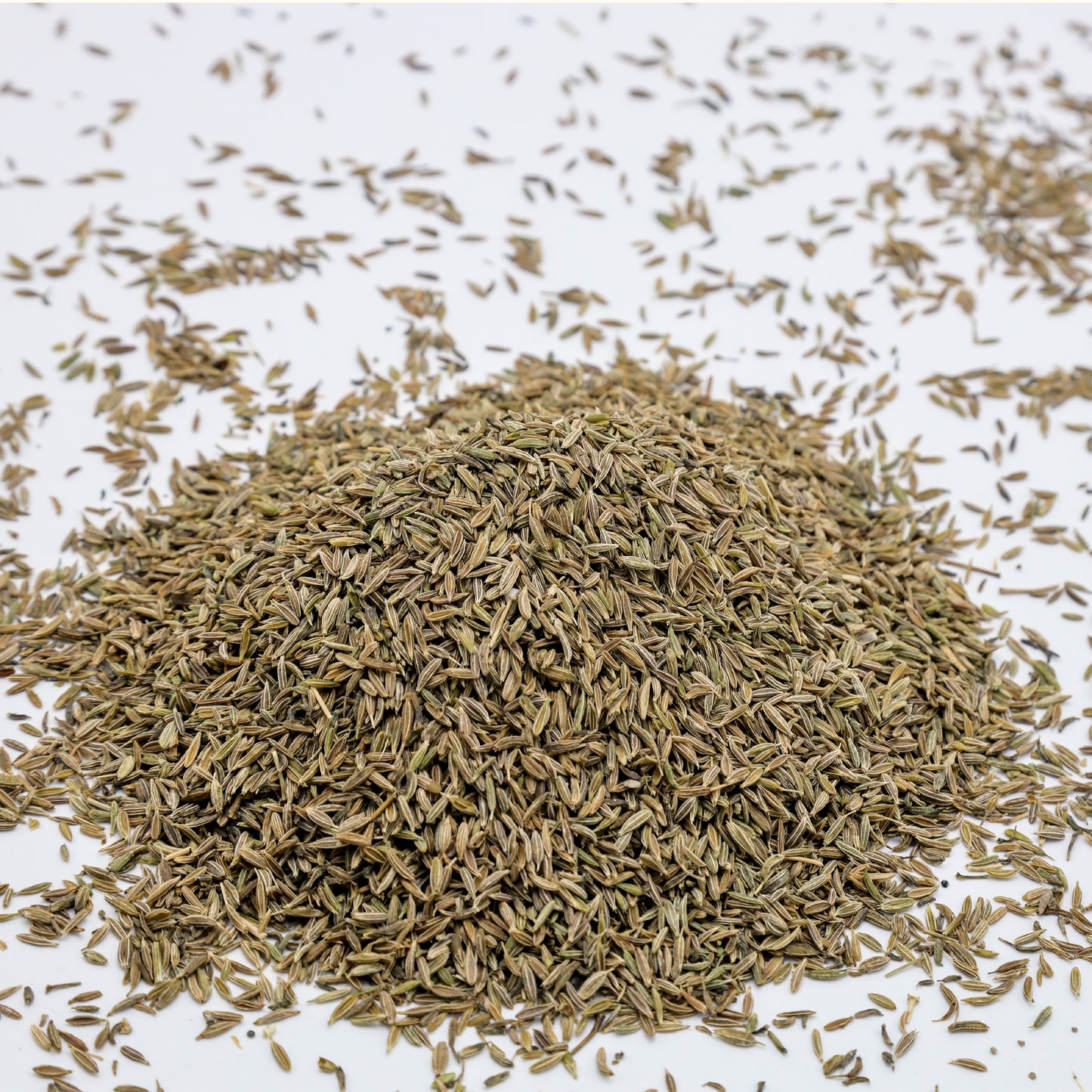 Pine White Cumin Seeds (Irani Zeera | ایرانی زیرہ) Strong Aroma