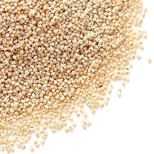 Pine Poppy Seeds | Khashkhash | خشخاش – Hormonal Wellness